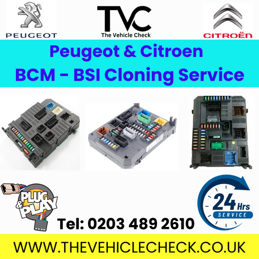 bsi cloning service