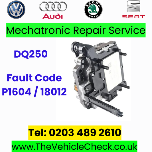 DQ250 repair service